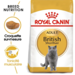 Royal Canin British Shorthair Adulte 2 Kg